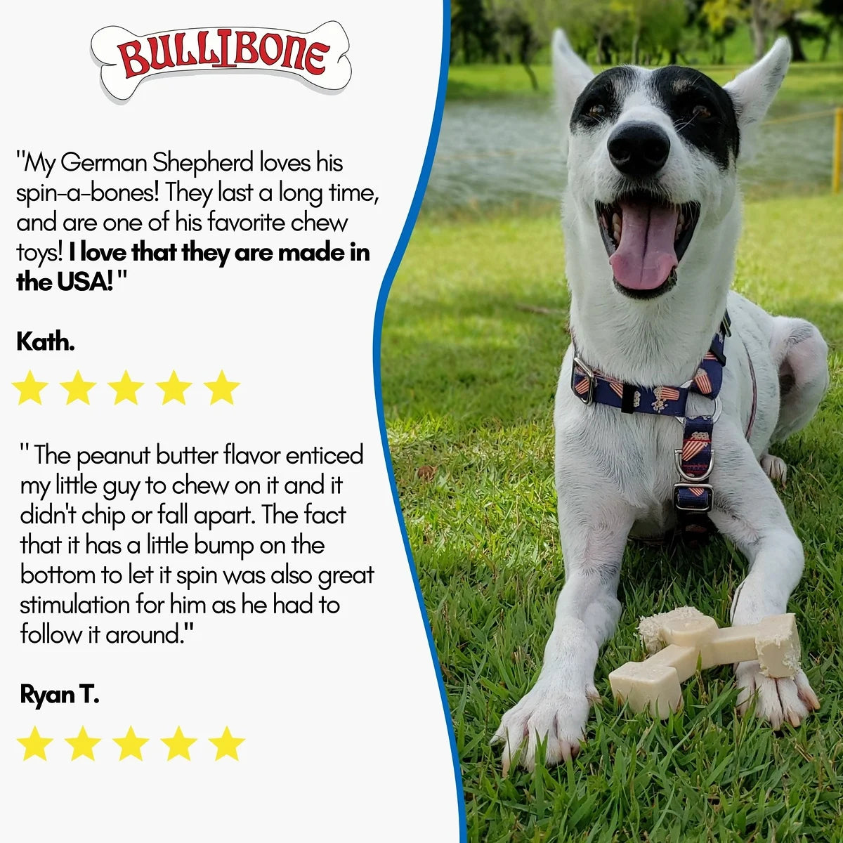 Spin-A-Bone Dog Chew Toy with Bacon Flavor for Dental Health